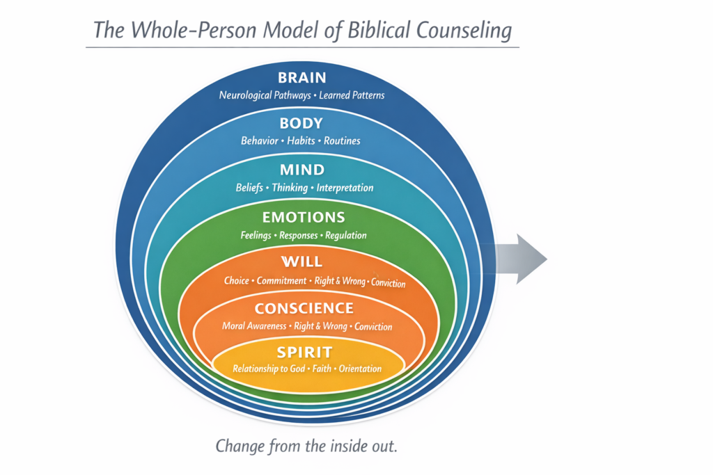 the whole person model of counseling (1)